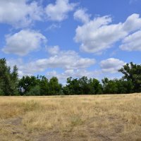 Местные виды. :: Виктор 