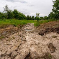 Маловодье... :: Николай Гирш