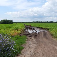 Мы не любим лёгких дорог... :-) :: Андрей Заломленков