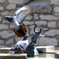 "The Natural World" (Мир Природы) :: "The Natural World" Александер "The Natural World" (Мир Природы) :: "The Natural World" Александер