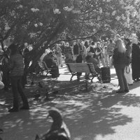 .... :: Юрий Самсонов