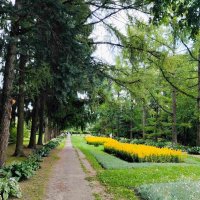 В Ботаническом саду :: Галина Бобкина В Ботаническом саду :: Галина Бобкина