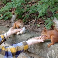 Третью давай.... :: Александр Кондаков