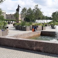 Цветущая Московская площадь :: Наталья Герасимова