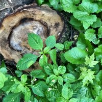 Остался след… :: Любовь 