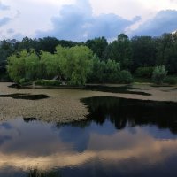 * * * :: Андрей Лукьянов