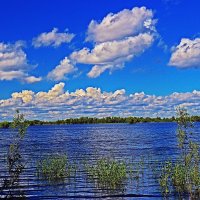 Июнь...В пору половодья на Сыром Агане! :: Владимир Июнь...В пору половодья на Сыром Агане! :: Владимир