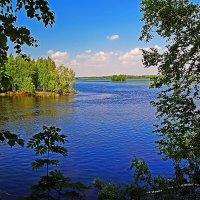 Июнь...Окно в природу! :: Владимир 