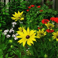 Красота :: Людмила Смородинская