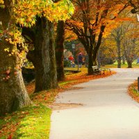 Я ухожу в осеннюю аллею :: Юрий. Шмаков