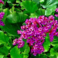 ЛЕТО :: Юрий Владимирович 34 ЛЕТО :: Юрий Владимирович 34