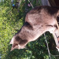 утренняя медитация :: Галина Флора утренняя медитация :: Галина Флора