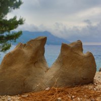 Камень :: Евгений +