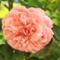 ,,, :: Сергей Тимоновский ,,, :: Сергей Тимоновский