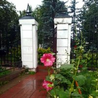 *** :: Валентина Береснева