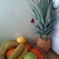 " :: Светлана Хращевская " :: Светлана Хращевская