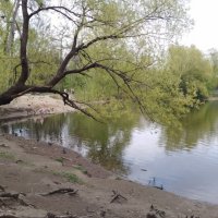 пруд :: Анастасия Малыгина