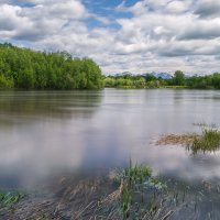 ... :: Жора Житников