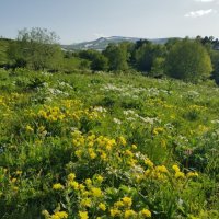 ПЛАТО ЛАГОНАКИ :: Tata Wolf ПЛАТО ЛАГОНАКИ :: Tata Wolf