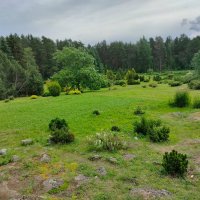 В Ботаническом саду Петрозаводска :: Ирэн 