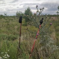 Ходите друзья,ходите... :: Андрей Хлопонин