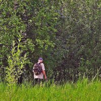 Июль...В лесной поход! :: Владимир Июль...В лесной поход! :: Владимир