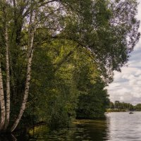 у озера :: Michel 
