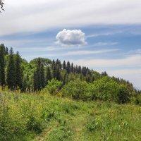 Плывёт облачко :: LudMila Плывёт облачко :: LudMila