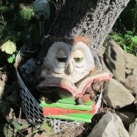 дачное :: Елена Шаламова