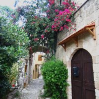 Улица :: Натали 