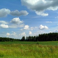 Просторы :: светлана льдокова