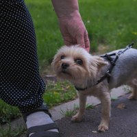 ***** :: юрий поляков