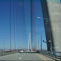 По мосту н остров Русский :: Наталья Т