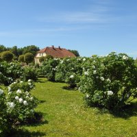 французский парк в Рундале :: ИННА ПОРОХОВА