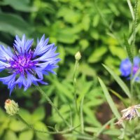 ,,,, :: Сергей Тимоновский