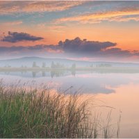 *** :: Алексей Мезенцев