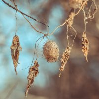 *** :: Виктор Иванович Чернюк