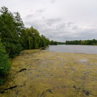 Цветение... :: Николай Гирш Цветение... :: Николай Гирш