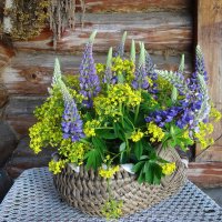 Букет :: Лидия Бусурина