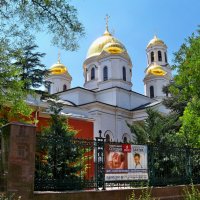 Собор АлександраНевского :: Валентин Семчишин Собор АлександраНевского :: Валентин Семчишин