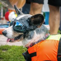 Питер. Фрагменты :: Владимир Колесников