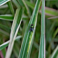 После дождя :: Татьяна Перегудова 