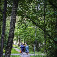 Дела, дела ... :: Владимир Кроливец