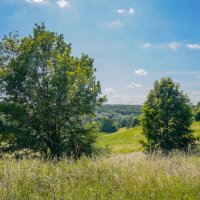 Июль в Царицыно... :: Владимир Жданов Июль в Царицыно... :: Владимир Жданов
