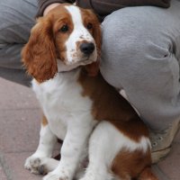 Первый год :: liudmila drake Первый год :: liudmila drake