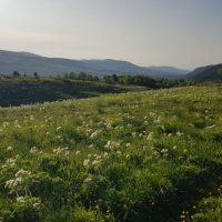 ПЛАТО ЛАГОНАКИ :: Tata Wolf ПЛАТО ЛАГОНАКИ :: Tata Wolf