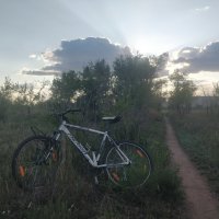 Прокатнемся... :: Андрей Хлопонин