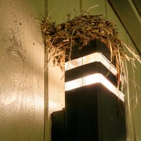 Тёплое местечко :: Валерий Пославский