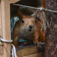 Кто  там :: Геннадий Супрун