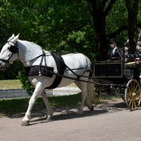 Москва. Усадьба Кусково. :: Наташа ***** Москва. Усадьба Кусково. :: Наташа *****